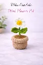 Crochet_Mini flower pot_Daisy Flower.webp