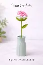 Crochet_Single Rose flower_Multi colour_Pink.webp