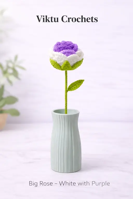 Single Rose flower_Multi colour